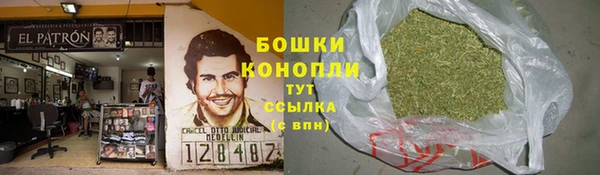 ECSTASY Костерёво