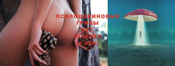 jwh Корсаков